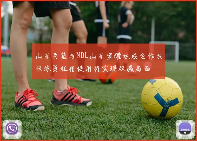 山东男篮与NBL山东蜜獾达成合作共识球员租借使用将实现双赢局面